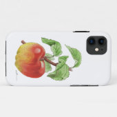 iPhone 11 Hülle "Apfel Jeanne Hardy" (Rückseite (Horizontal))