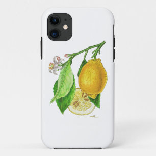 iPhone 11 Hülle Zitrone “Ferraris Zitronenbaum”