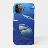 iPhone 11Pro Case-Sharks   Case-Mate iPhone Hülle (Rückseite)