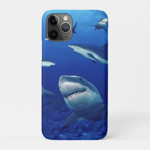 iPhone 11Pro Case-Sharks   Case-Mate iPhone Hülle