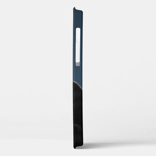 iPhone 12 cat and moon phone case (Rückseite / Links)