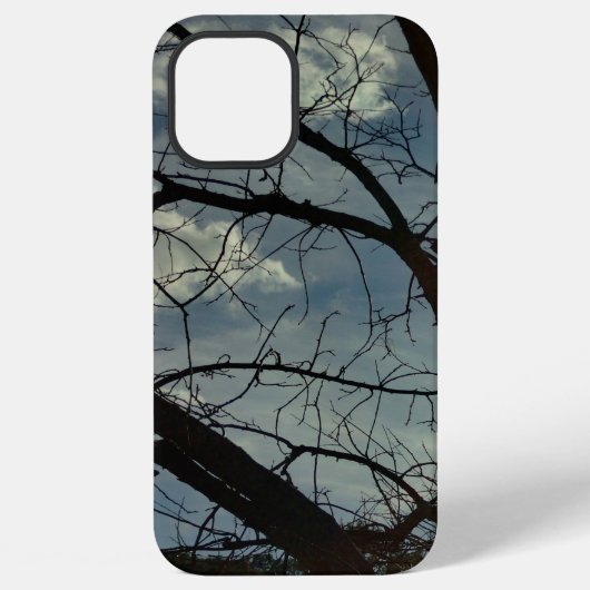 iPhone 12 Pro Max Hülle (Rückseite)