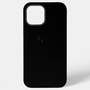 iPhone 12 Pro Max Hülle
