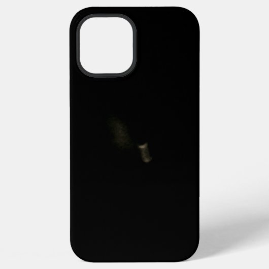 iPhone 12 Pro Max Hülle (Rückseite)