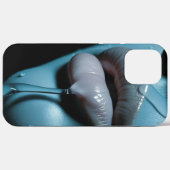 iPhone 12 Pro Max Hüllen (Rückseite (Horizontal))