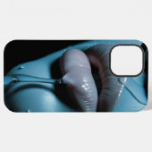 iPhone 12 Pro Max Hüllen Hülle (Rückseite (Horizontal))