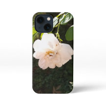 IPhone 13 Mini-Hüllen