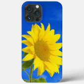 iPhone 13 pro max Gehäuse Case-Mate iPhone Hülle (Rückseite)