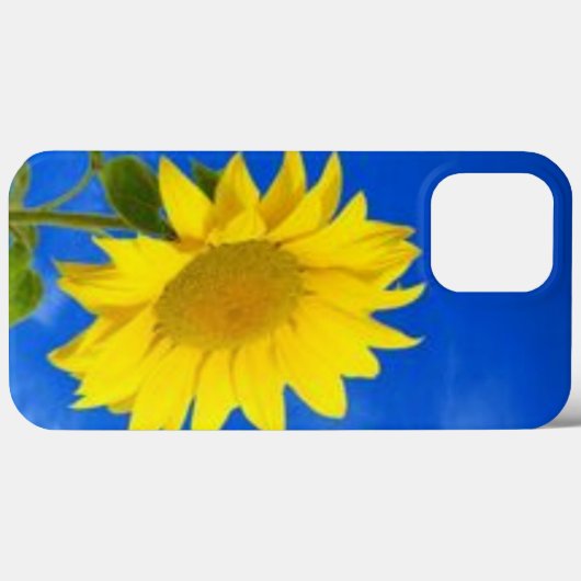 iPhone 13 pro max Gehäuse Case-Mate iPhone Hülle (Rückseite (Horizontal))