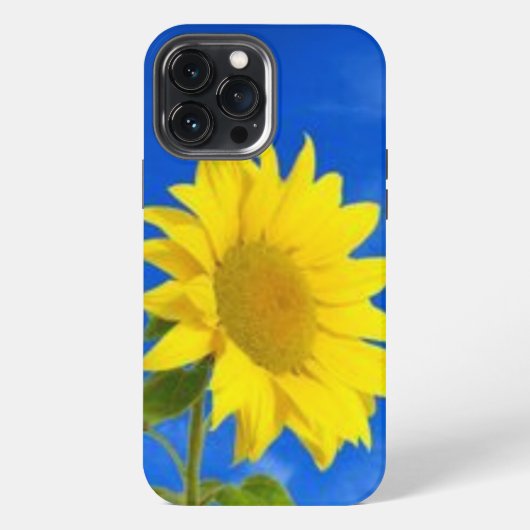 iPhone 13 pro max Gehäuse Hülle (Rückseite)