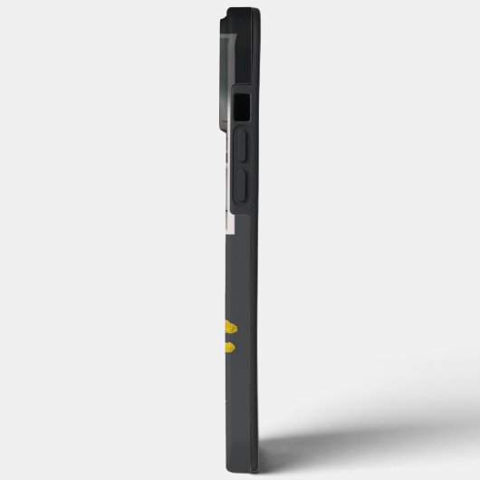 iPhone 13 Pro Max. Hüllen (Rückseite / Links)
