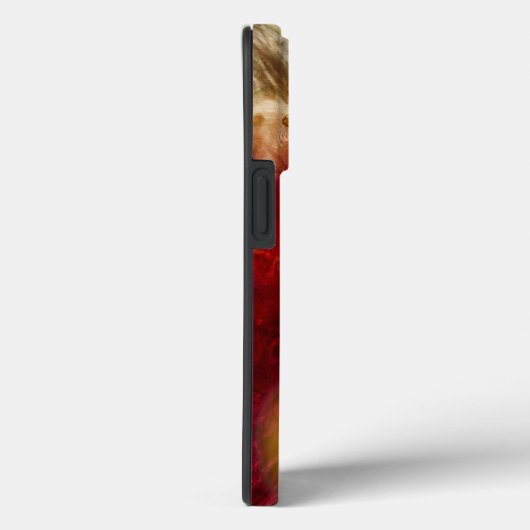 IPhone 13 Pro Phone Case (Rückseite / Rechts)