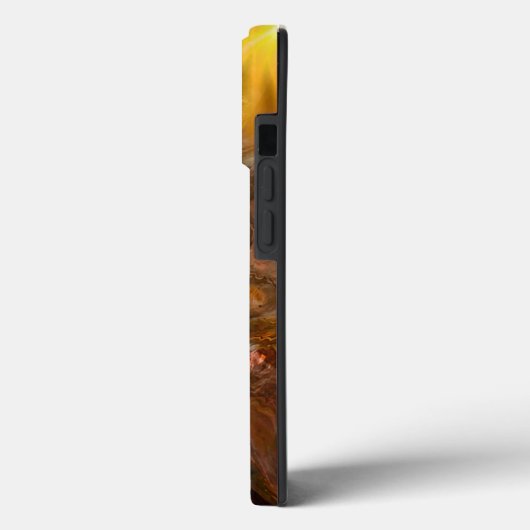 IPhone 13 Pro Phone Case (Rückseite / Links)