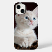 iPhone 14 Hüllen Katz Liebe (Rückseite)