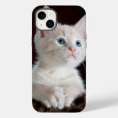 iPhone 14 Hüllen plus Katz-Liebe (Rückseite)