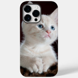 iphone 14 Hüllen pro max cat Liebe