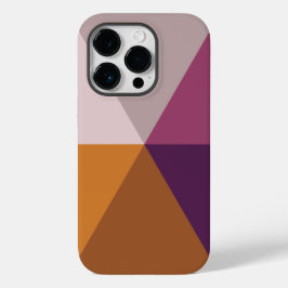 iPhone 14 Pro Hüllen Schönes Multicolor-Design