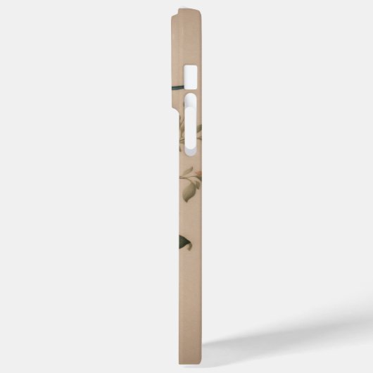 iPhone 14 Pro Max. Hüllen (Rückseite / Links)