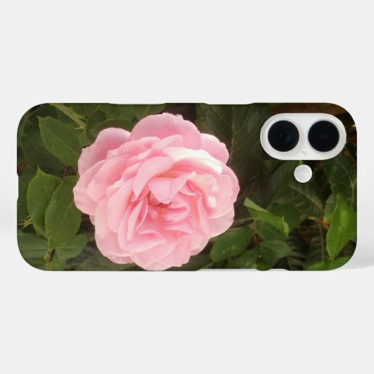 iPhone 16 case (Rückseite (Horizontal))