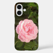 iPhone 16-Hülle Case-Mate iPhone Hülle (Rückseite)