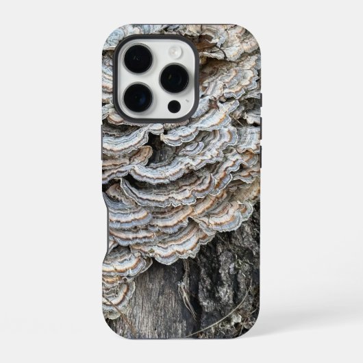 iPhone 16 Hülle iPhone Hülle (Rückseite)