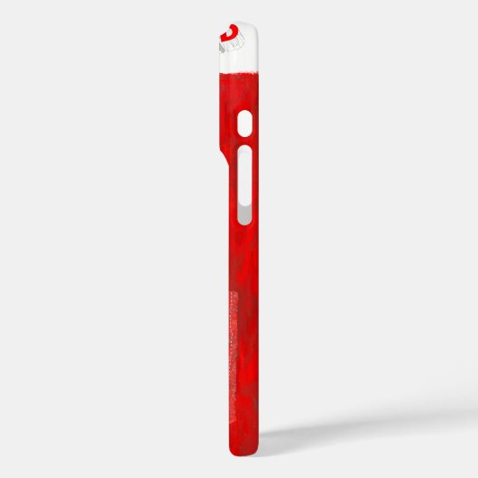 iPhone 16 Pro Hüllen (Rückseite / Links)