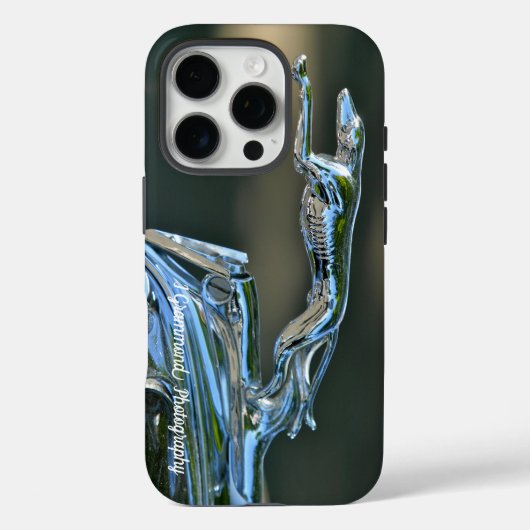 iPhone 16 Pro Phone Case (Rückseite)