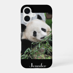 iPhone 5, 5S, SE Tough Xtreme Case Giant Panda 16 Hülle