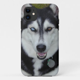 IPhone 5 Abdeckungs-sibirischer Husky 11 Hülle