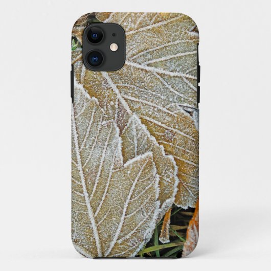 iPhone 5 Casemate Case für gefrorenes Ahorn (Rückseite)