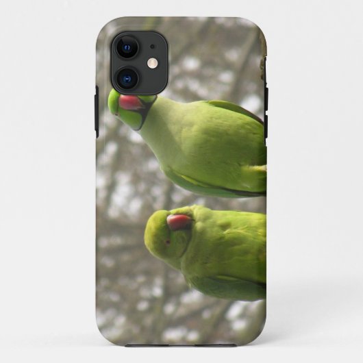 iPhone 5 Fall mit neugierigen Parakeets Case-Mate iPhone Hülle (Rückseite)