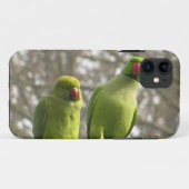 iPhone 5 Fall mit neugierigen Parakeets Case-Mate iPhone Hülle (Rückseite (Horizontal))