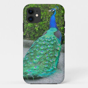 iPhone 5 Fall, "Proud Peacock" Case-Mate iPhone Hülle