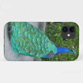 iPhone 5 Fall, "Proud Peacock" Case-Mate iPhone Hülle (Rückseite (Horizontal))