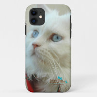 IPhone 5 Fall "Walter die Katze "