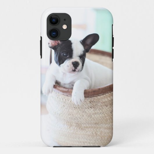 Iphone 5 französische Bulldogge Falles Case-Mate iPhone Hülle (Rückseite)
