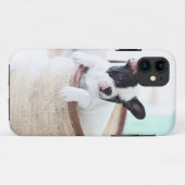 Iphone 5 französische Bulldogge Falles Case-Mate iPhone Hülle (Rückseite (Horizontal))