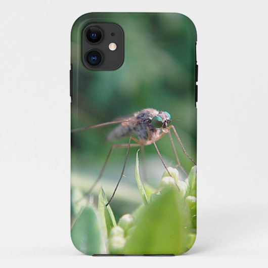 iPhone 5 Hülle grosse Mücke (Rückseite)