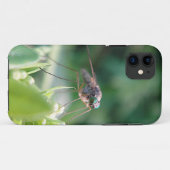 iPhone 5 Hülle grosse Mücke (Rückseite (Horizontal))
