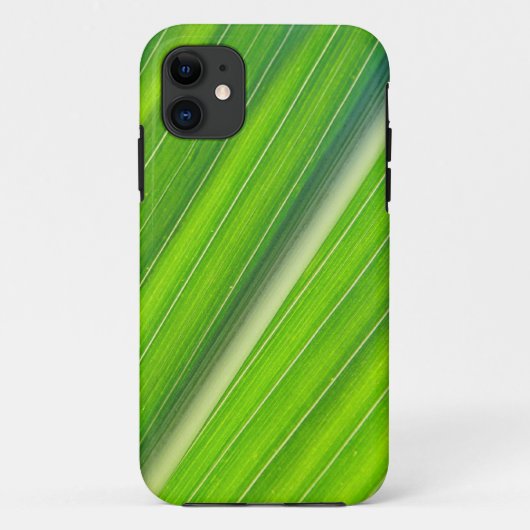 iPhone 5 Hülle hellgrünes Maisblattdesign (Rückseite)