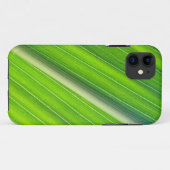 iPhone 5 Hülle hellgrünes Maisblattdesign (Rückseite (Horizontal))