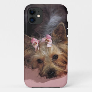 iPhone 5 Hund KRW entzückende Yorkie Abdeckung Case-Mate iPhone Hülle