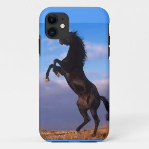 iPhone 5 kaum dort Fall-PferdePower Case-Mate iPhone Hülle