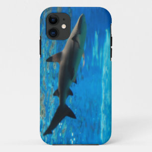 iphone 5 kaum dort qpc Schablonen-IP - besonders 11 Hülle