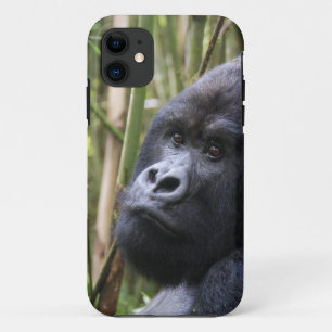iphone 5 kaum dort qpc Schablonen-IP - besonders Case-Mate iPhone Hülle