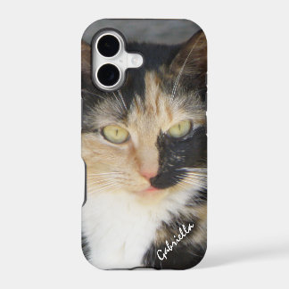 iPhone 5: Personalisierte Calico-Kitty-Hülle