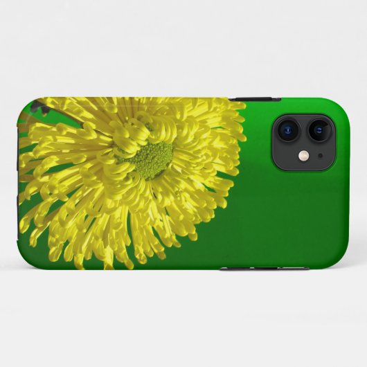 iphone 5s Fall Case-Mate iPhone Hülle (Rückseite (Horizontal))