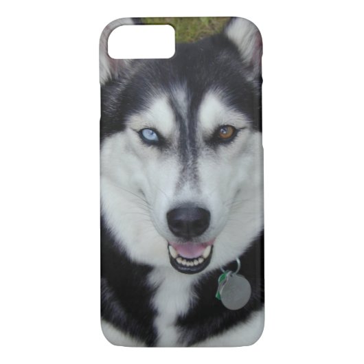 iPhone 7 Fall sibirischer Husky Case-Mate iPhone Hülle (Rückseite)