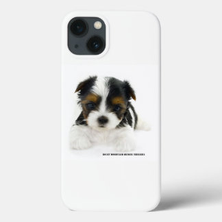 iPhone 8/7 Case - Biewer Terrier Puppy
