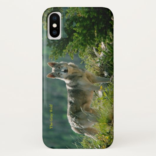 iPhone Case (Rückseite)